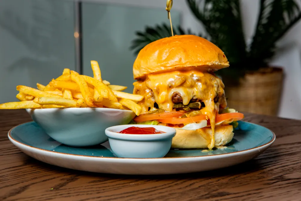 burger image